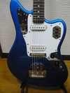 Jaguar Blue 1.jpg